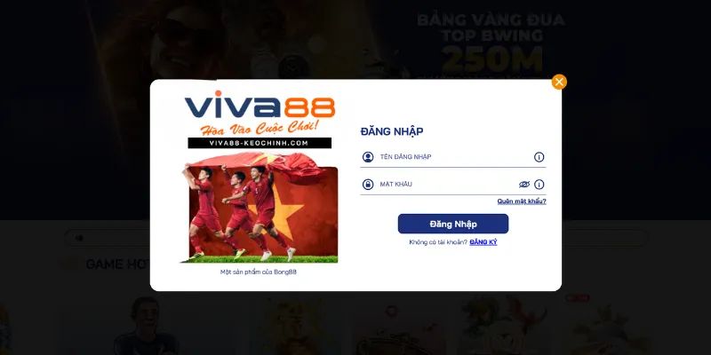Những lưu ý khi đăng nhập Viva88